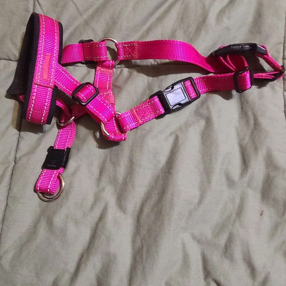 GoodBoy Hot Pink Padded No-Pull Dog Halter Muzzle Size 2 Adjustable Large Dog‎